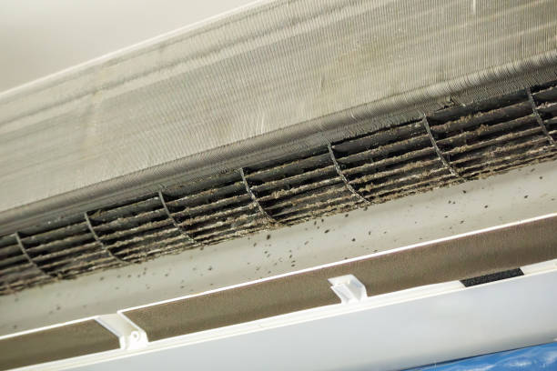 Home Air Vent Cleaning in Blountsville, AL